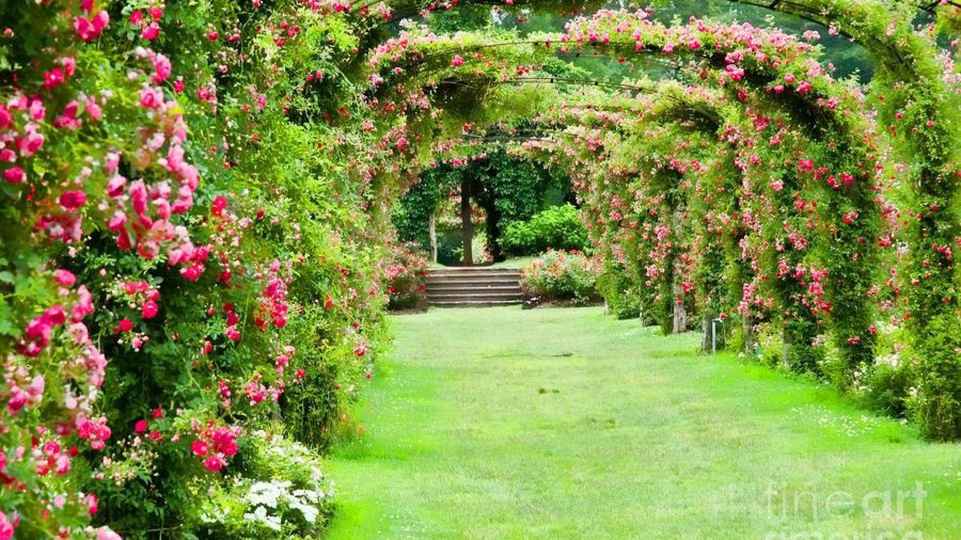 Wallpaper Garden Wallpapers