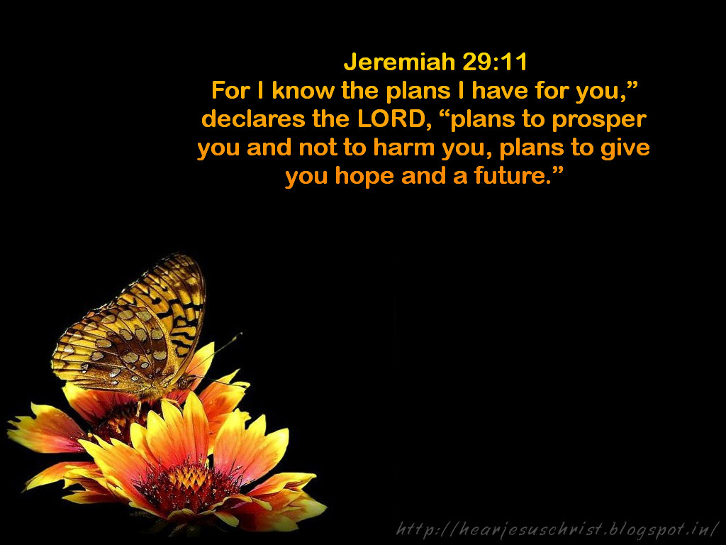 Wallpaper Jeremiah 29 11 Wallpapers