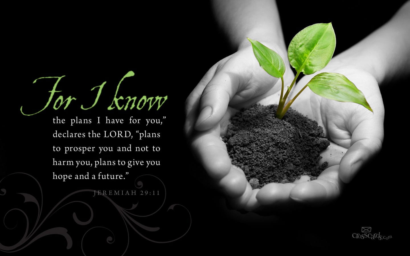 Wallpaper Jeremiah 29 11 Wallpapers