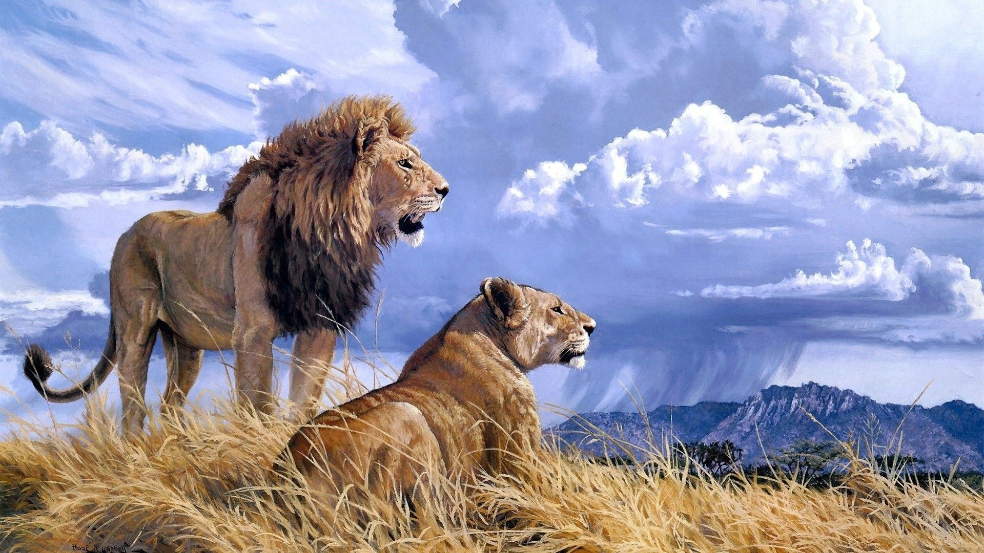 Wallpaper Lion And Lioness Wallpapers