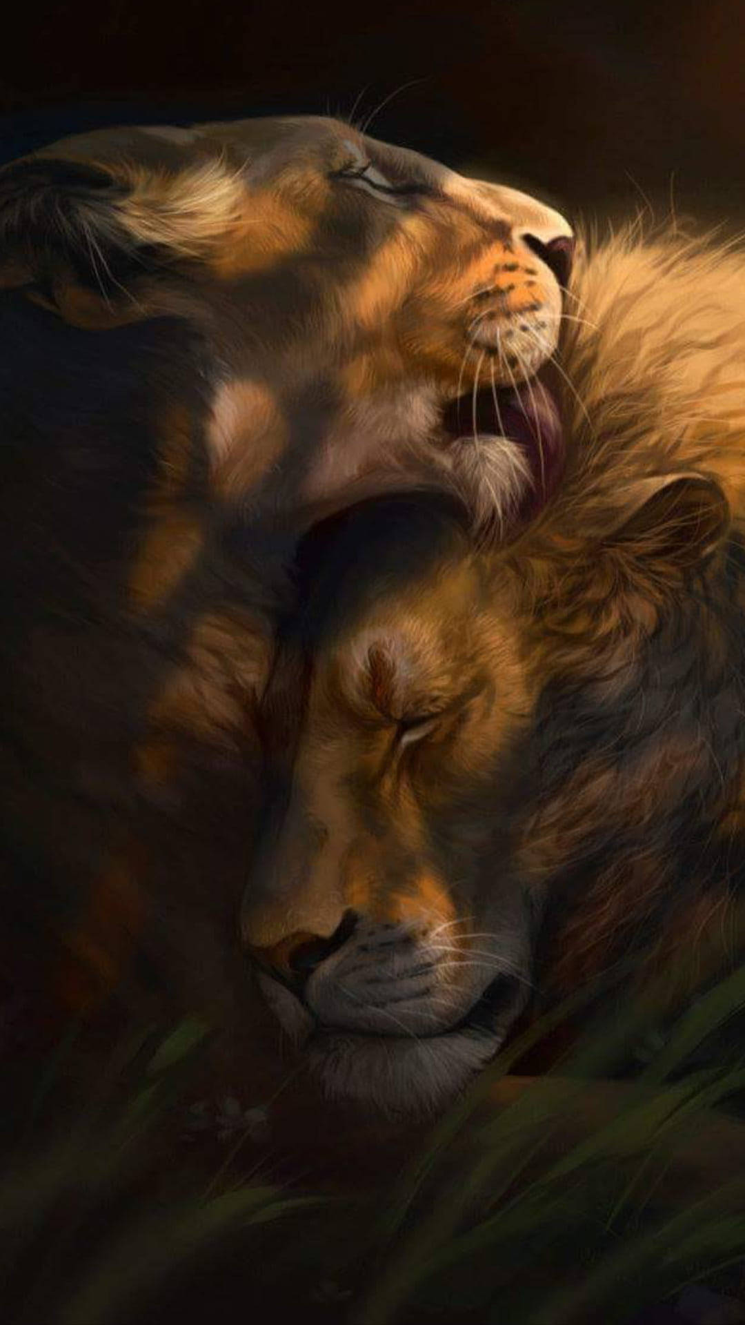 Wallpaper Lion And Lioness Wallpapers