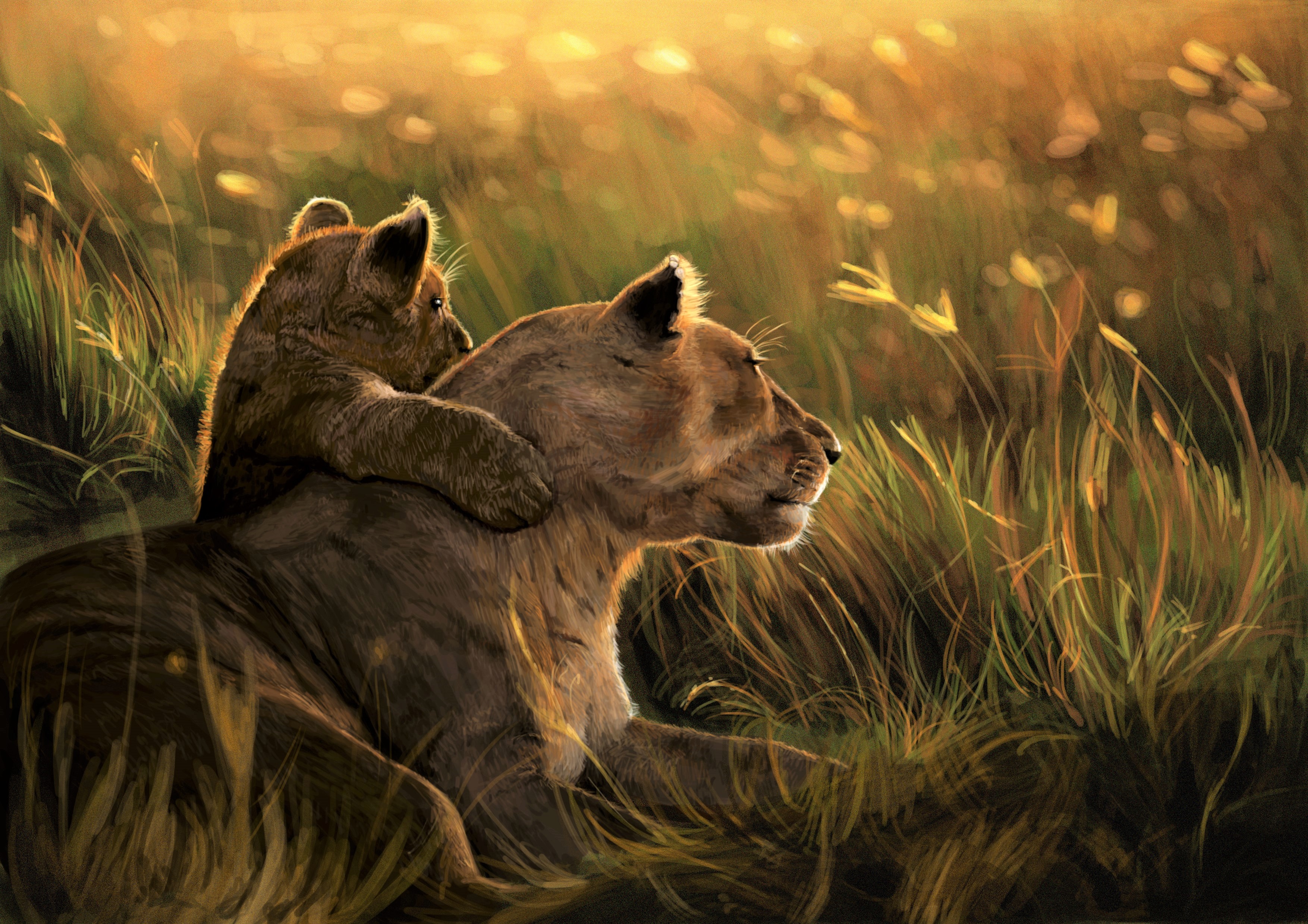 Wallpaper Lion And Lioness Wallpapers