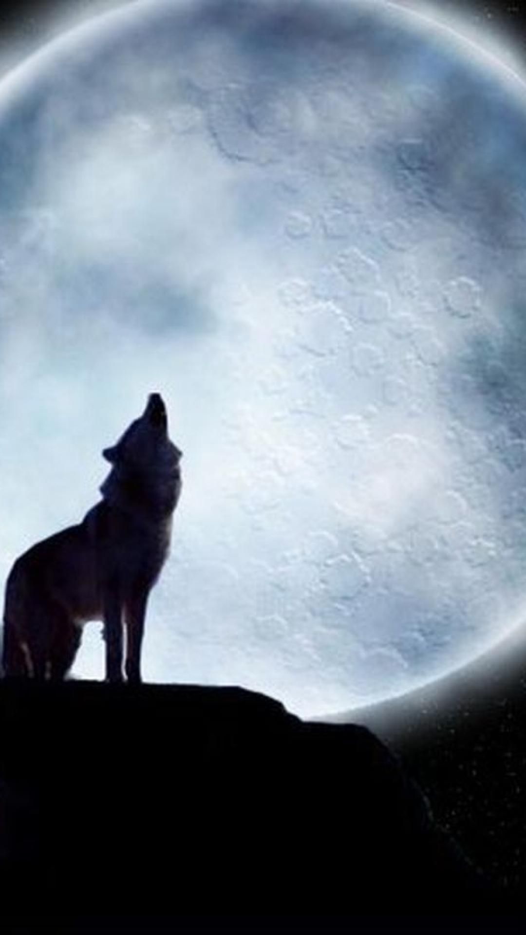 Wallpaper Lone Wolf Wallpapers