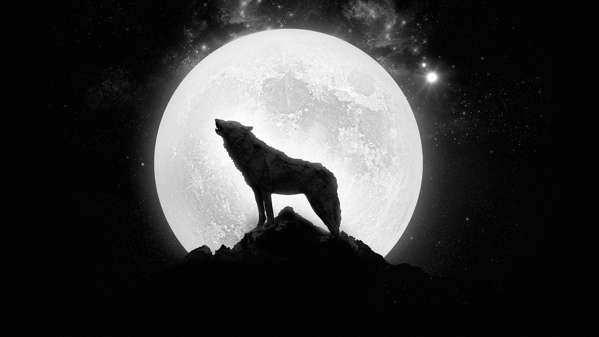 Wallpaper Lone Wolf Wallpapers