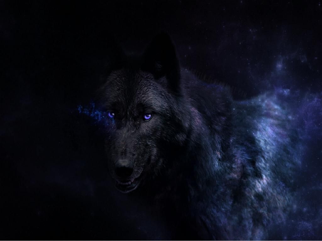 Wallpaper Lone Wolf Wallpapers