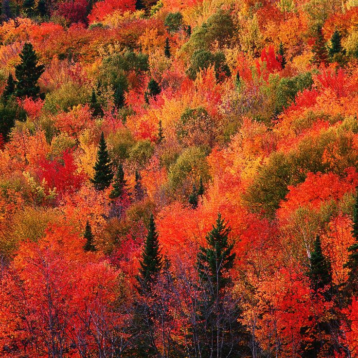 Wallpaper New England Fall Wallpapers