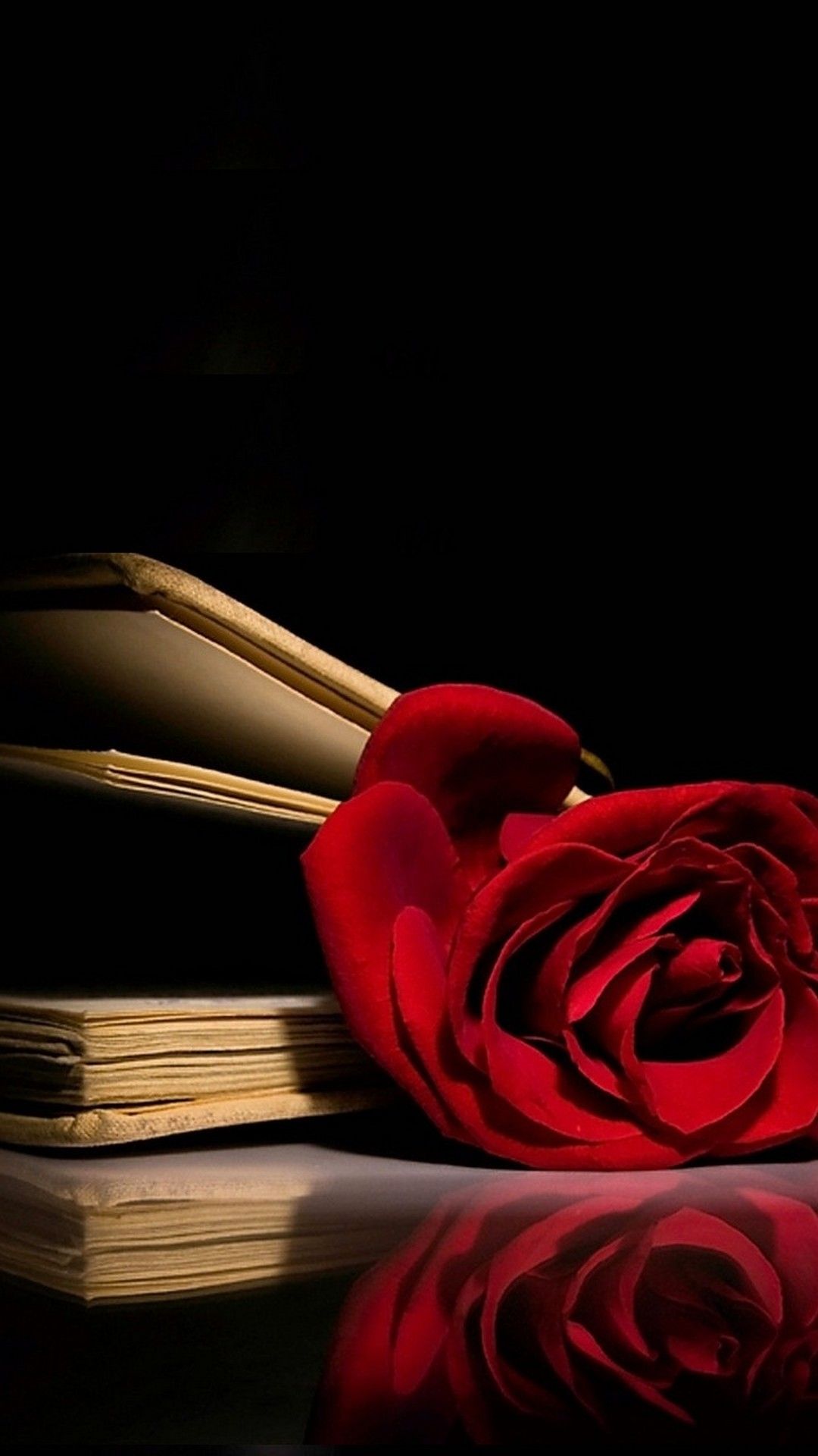 Wallpaper Rose Red Wallpapers