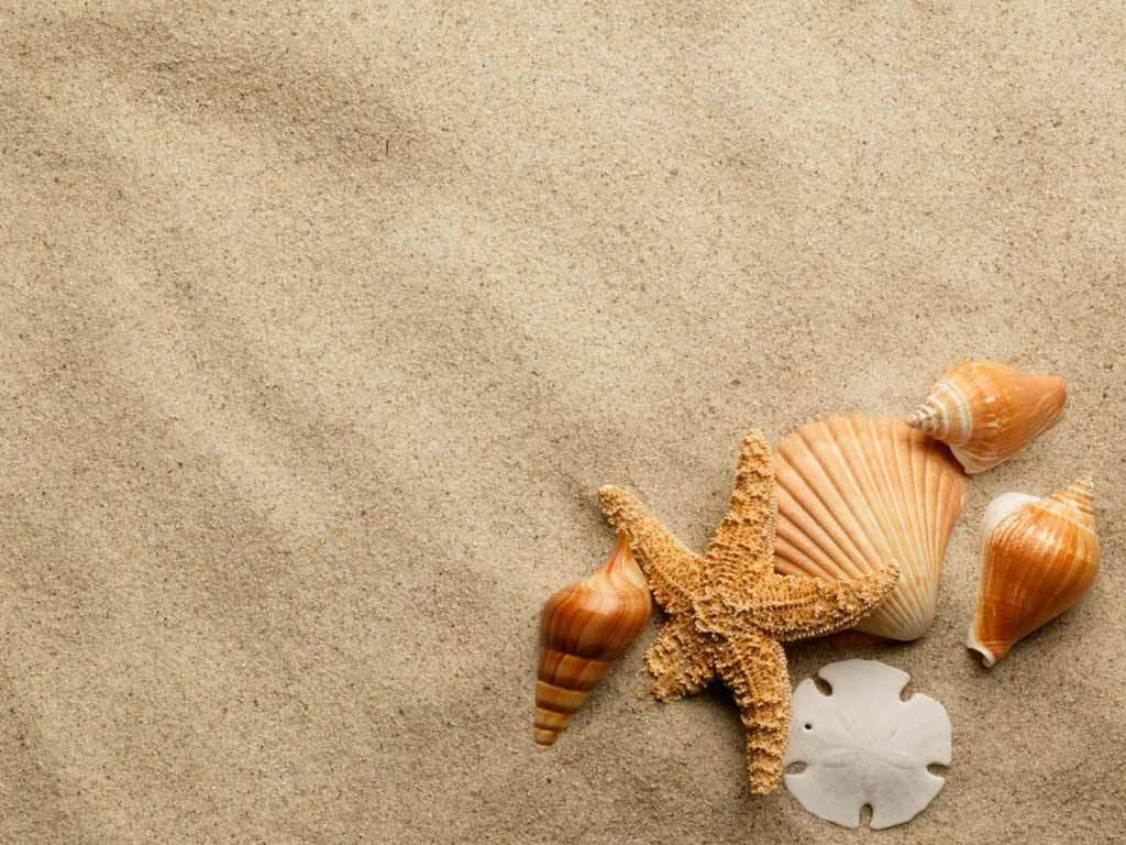 Wallpaper Sand Wallpapers