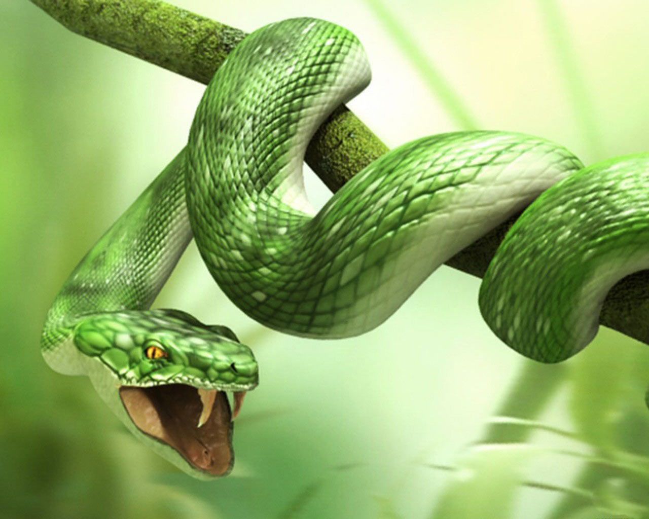 Wallpaper Snake 3D Wallpapers