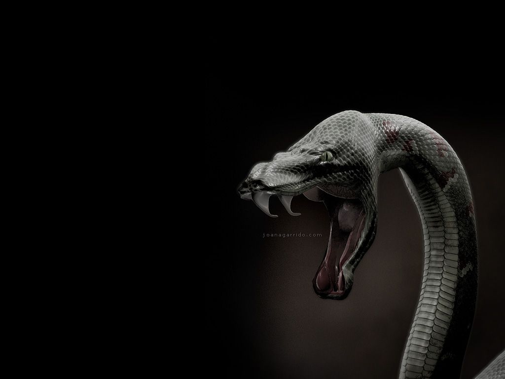 Wallpaper Snake 3D Wallpapers