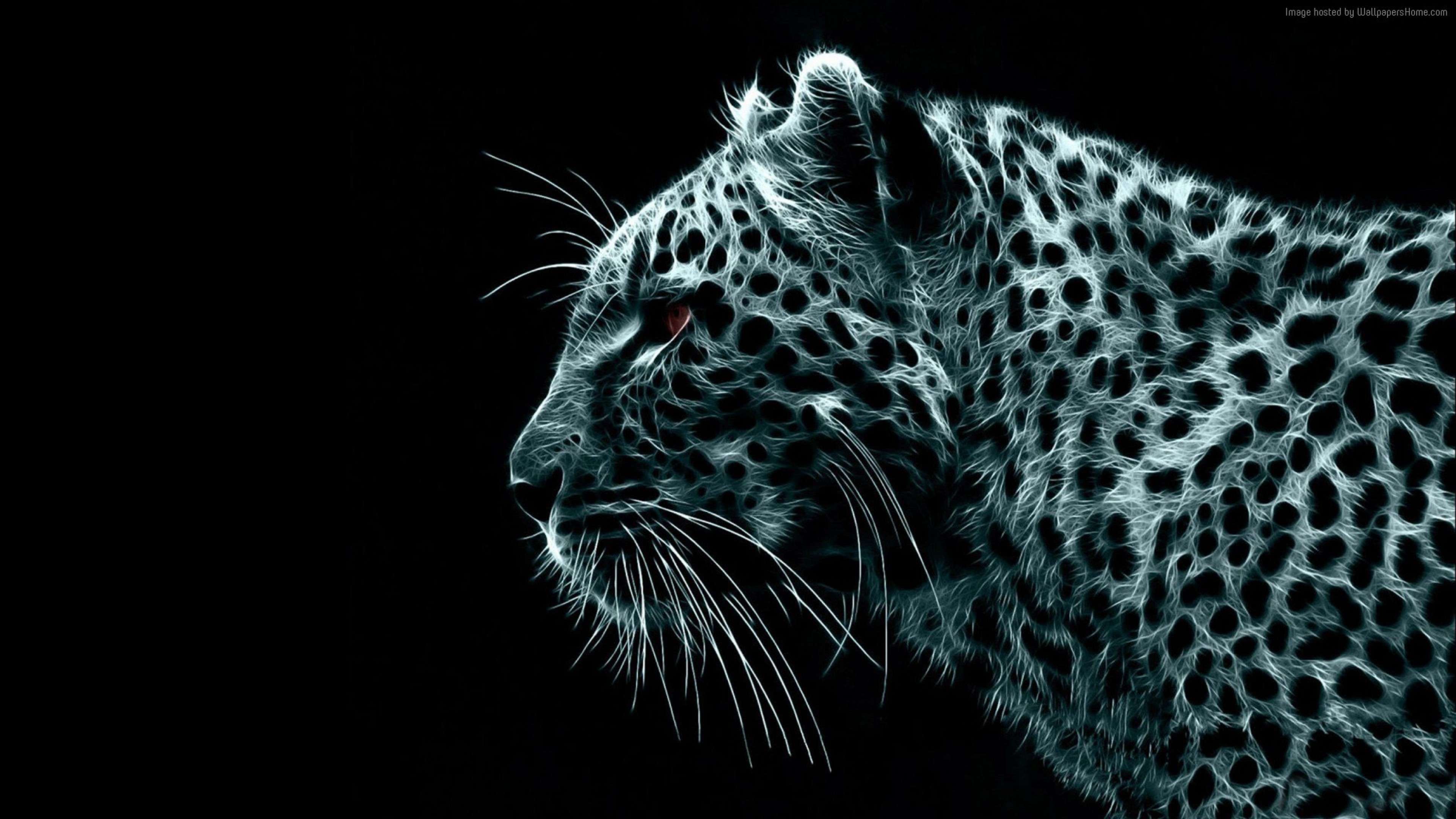 Wallpaper Snow Leopard Wallpapers