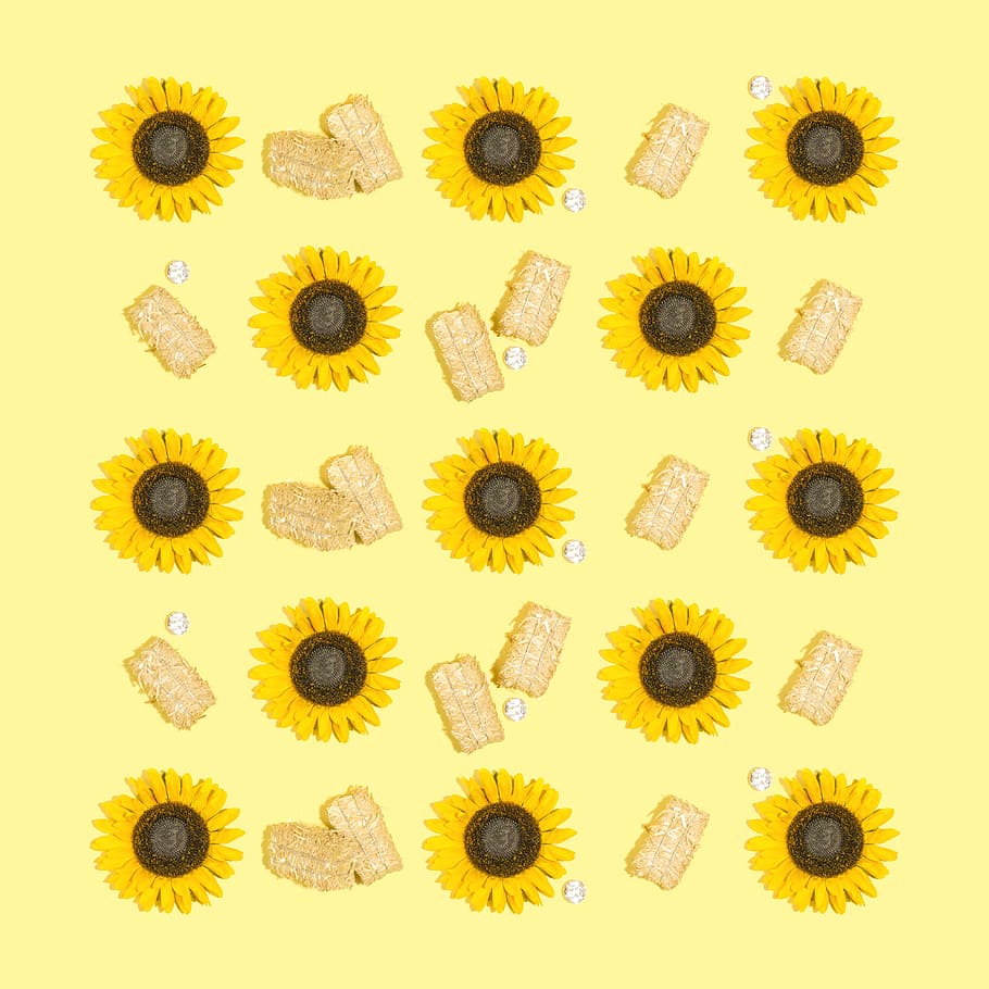 Wallpaper Sunflower Pattern Wallpapers