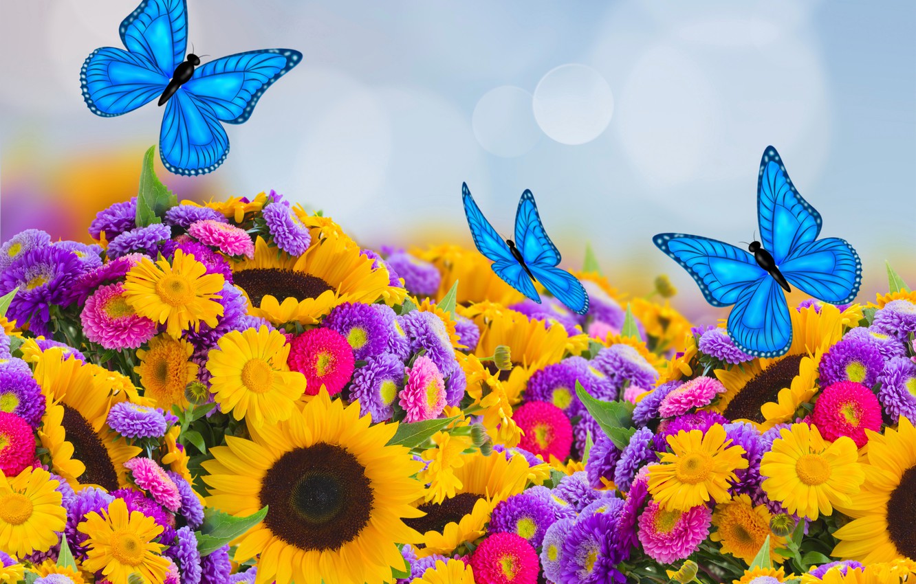 Wallpaper Sunflowers And Butterflies Wallpapers