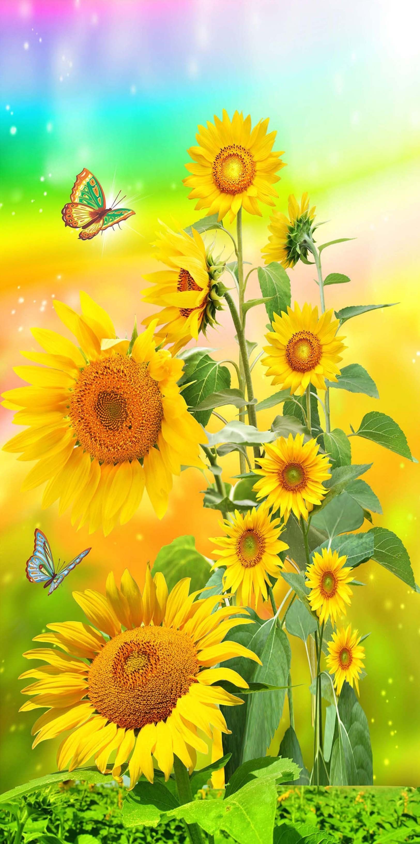 Wallpaper Sunflowers And Butterflies Wallpapers