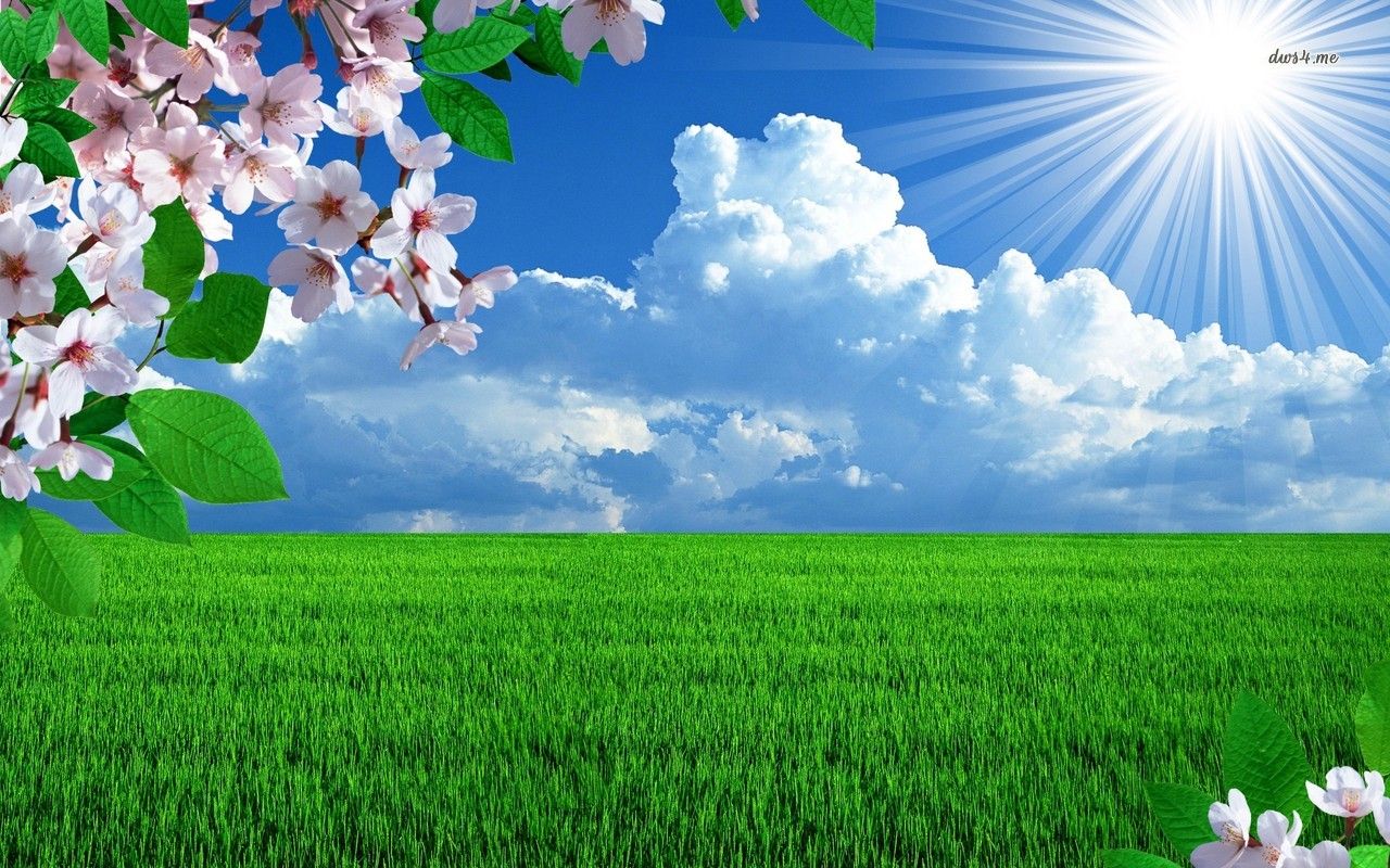 Wallpaper Sunny Day Wallpapers
