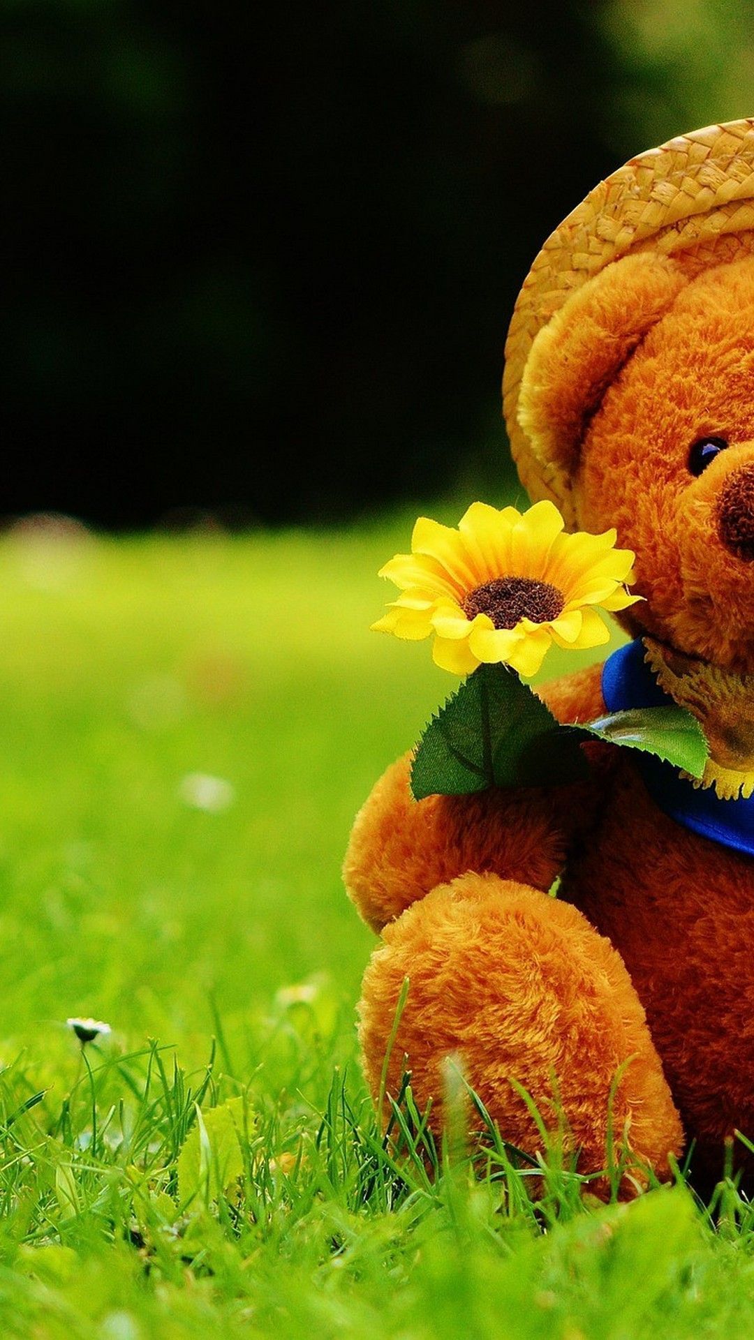 Wallpaper Teddy Bear Wallpapers