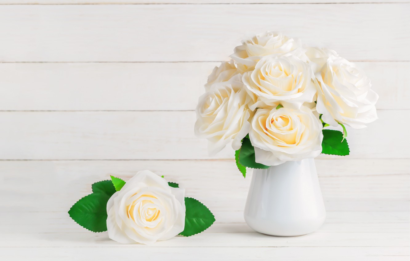 Wallpaper White Roses Wallpapers