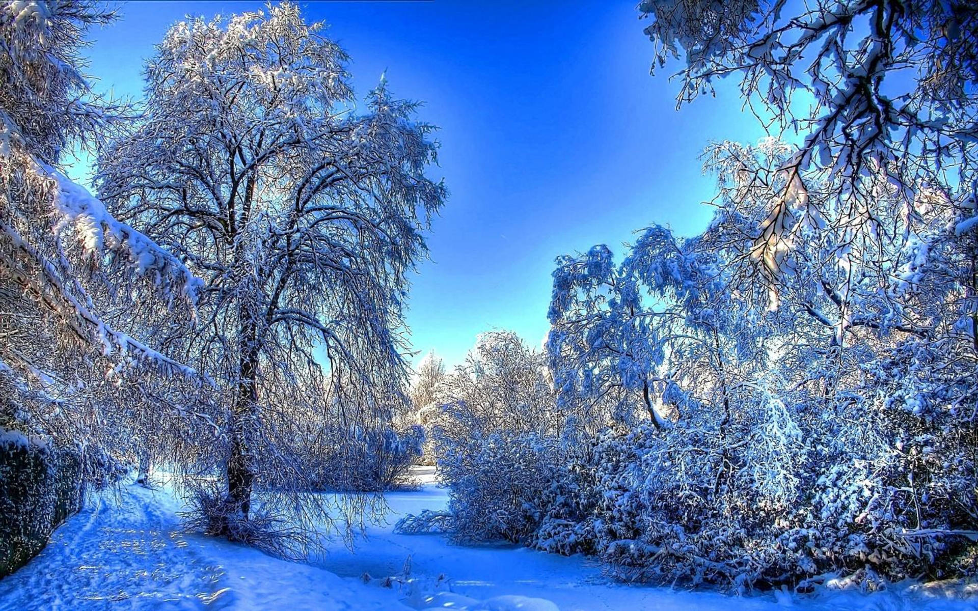 Wallpaper Winter Wonderland Wallpapers