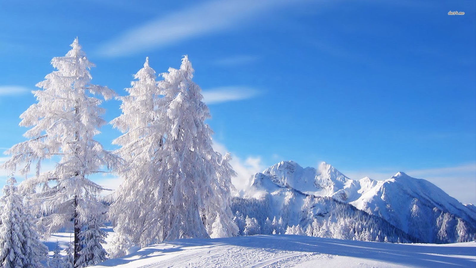 Wallpaper Winter Wonderland Wallpapers