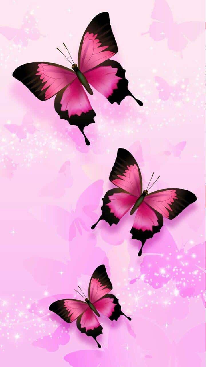 Wallpaper With Butterflies Wallpapers