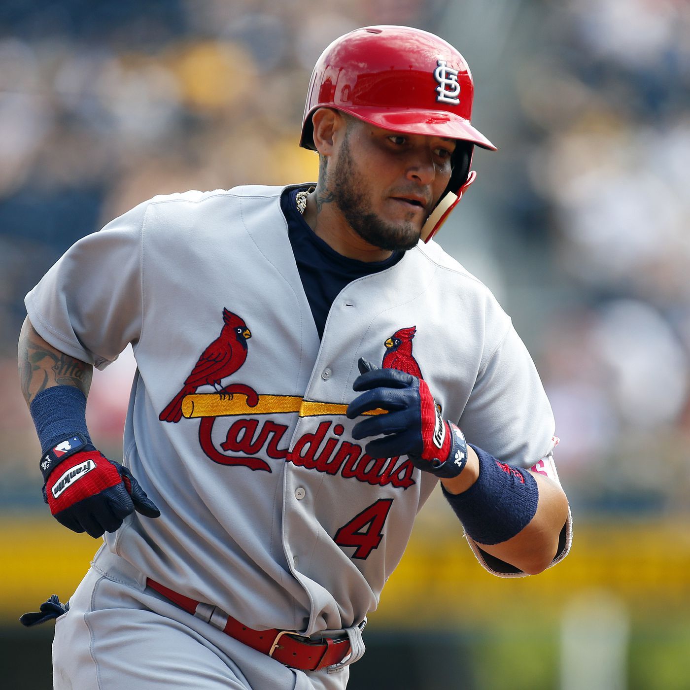 Wallpaper Yadier Molina Wallpapers