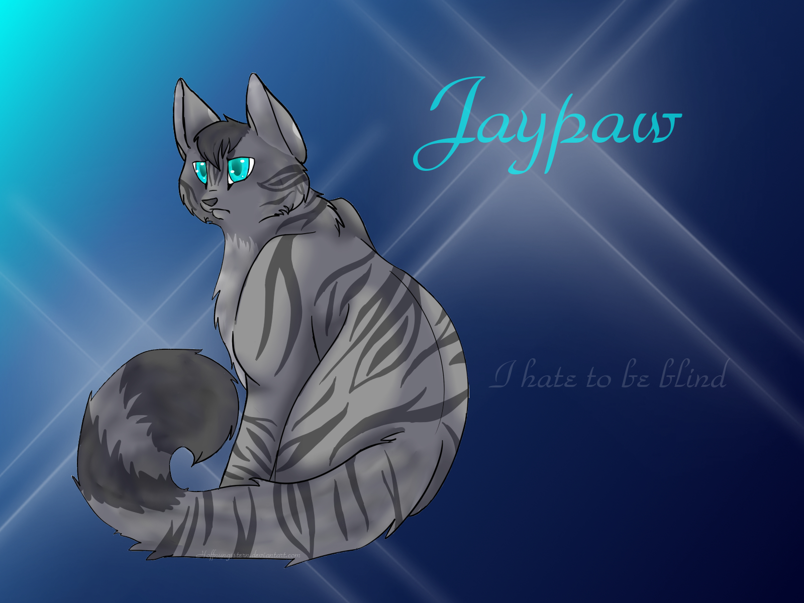 Warrior Cats Jayfeather Wallpapers