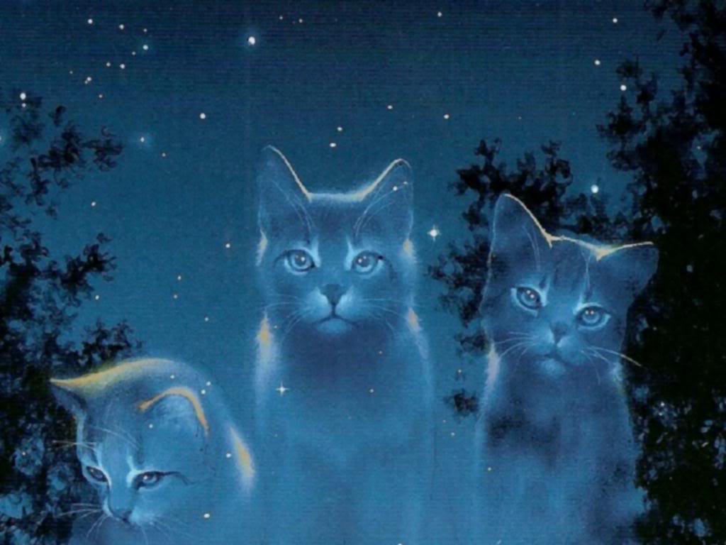 Warrior Cats Jayfeather Wallpapers