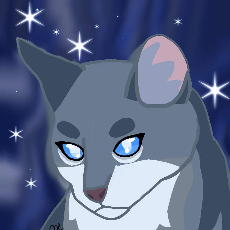 Warrior Cats Jayfeather Wallpapers