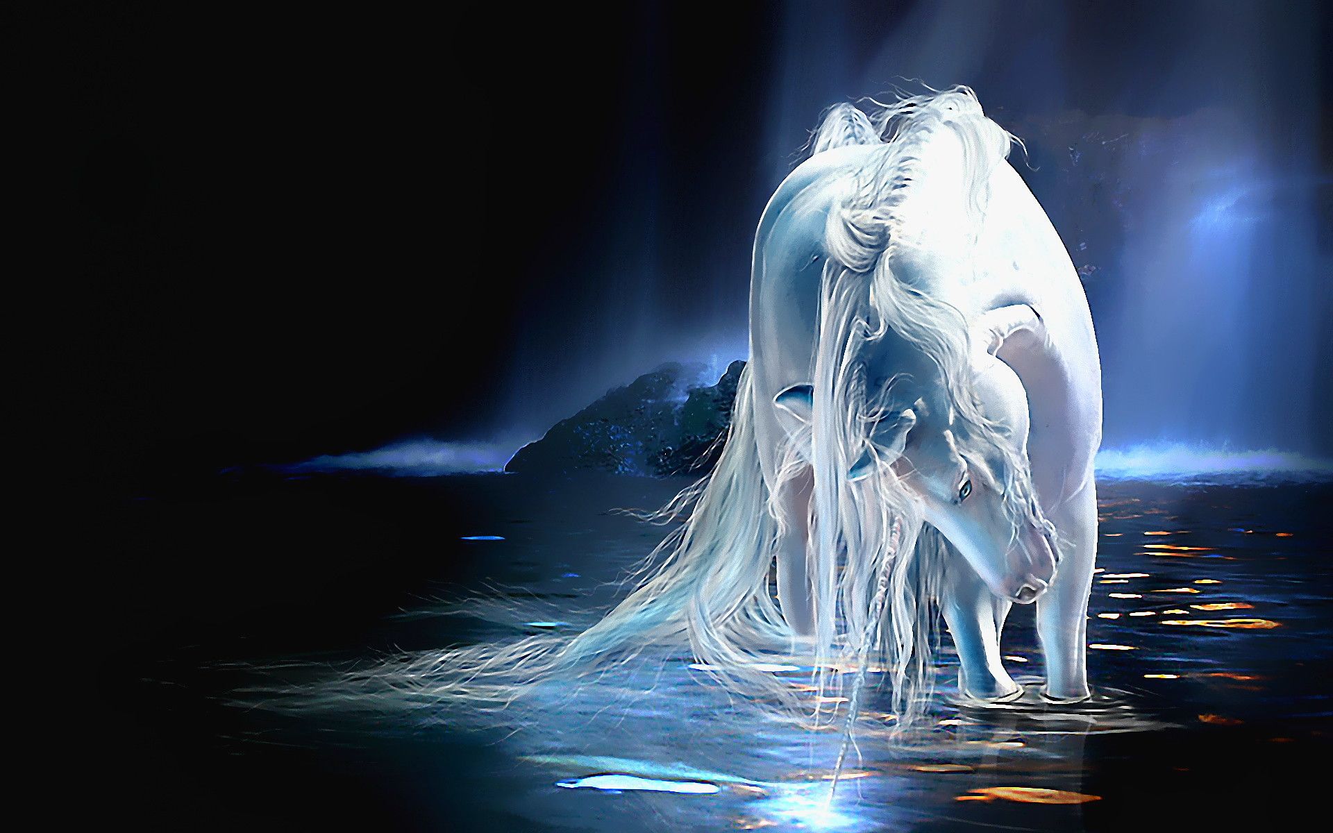 Water Horse Wallpapers