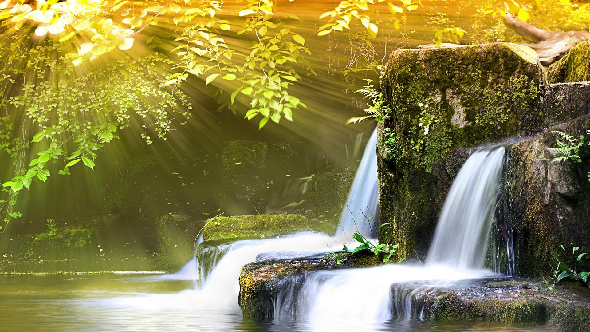 Water Nature Wallpapers