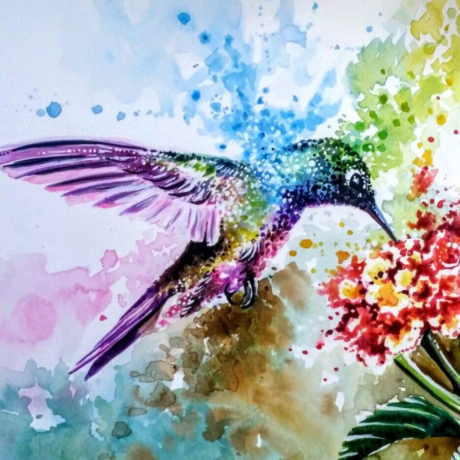 Watercolor Hummingbird Images Wallpapers