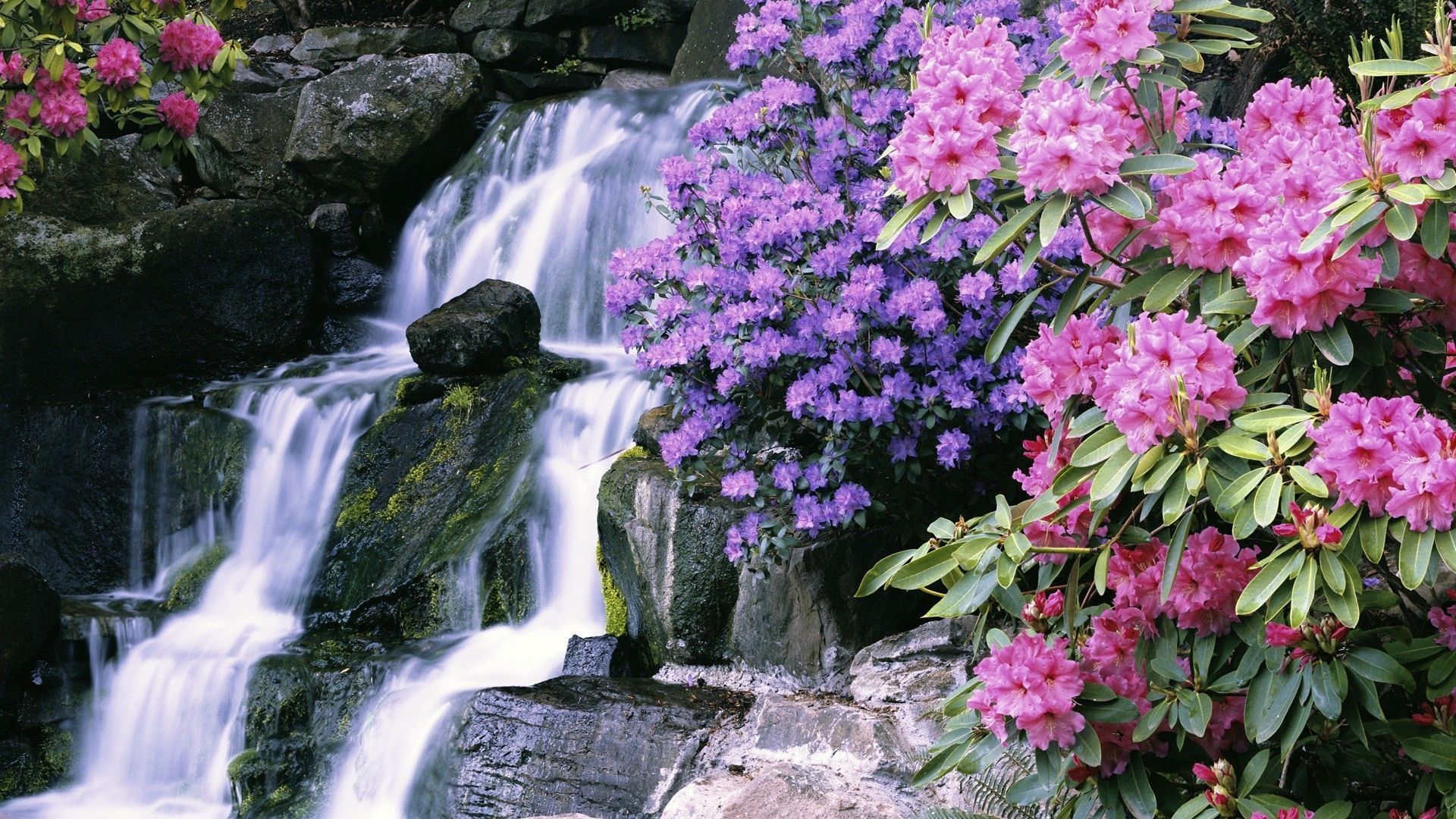 Waterfall And Flowers Wallpapers