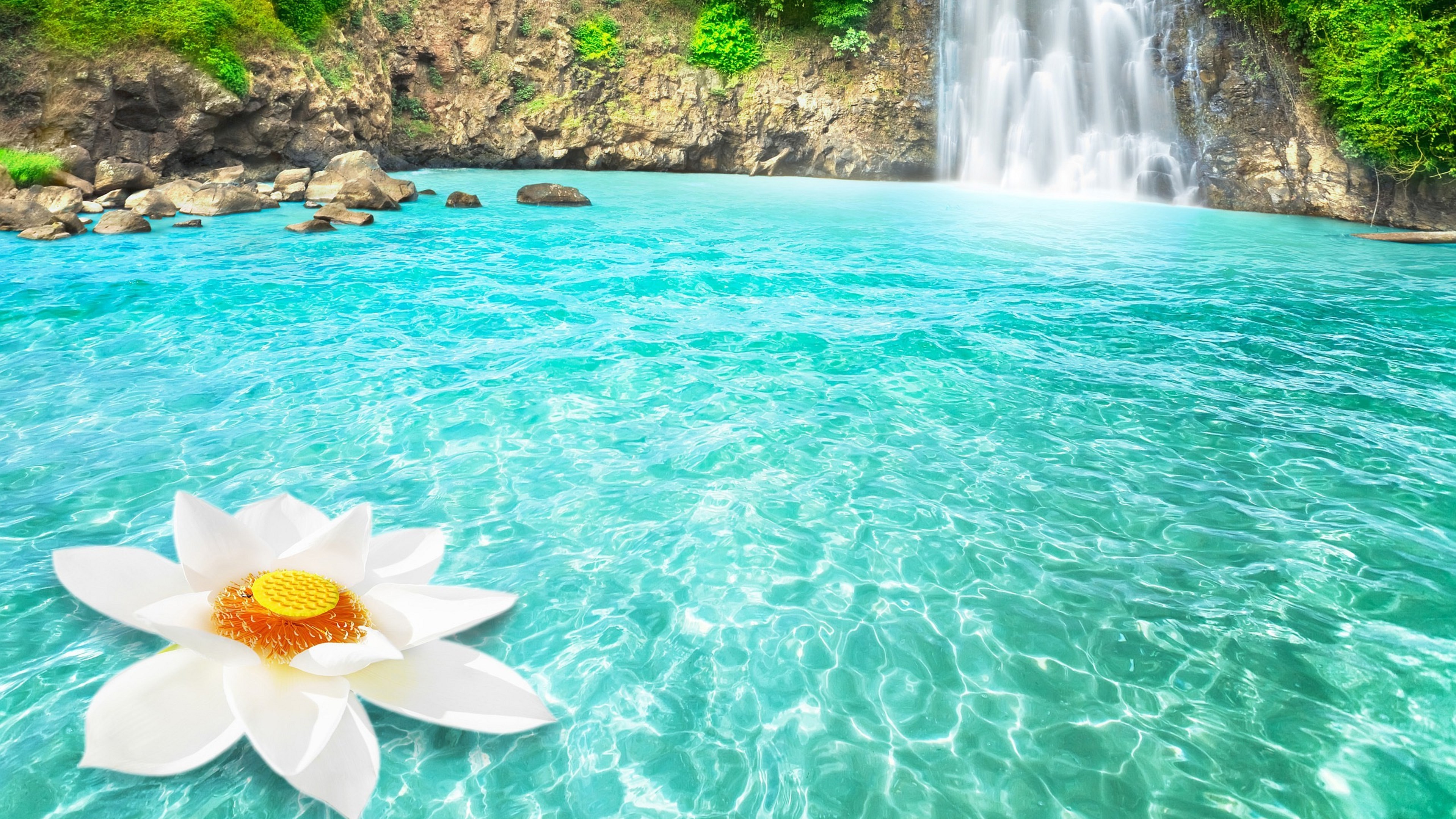 Waterfall And Flowers Wallpapers