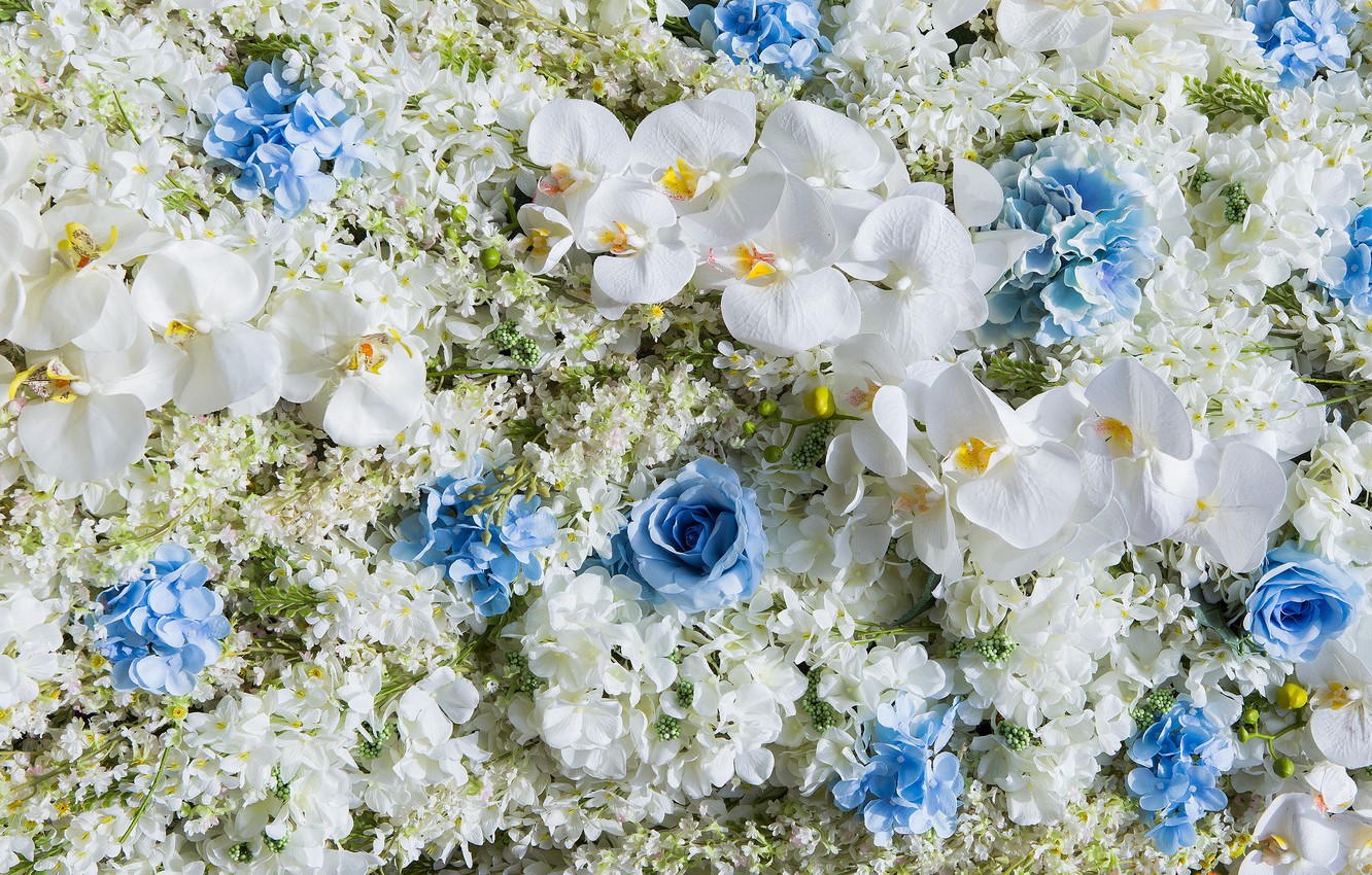 Wedding Flowers Wallpapers