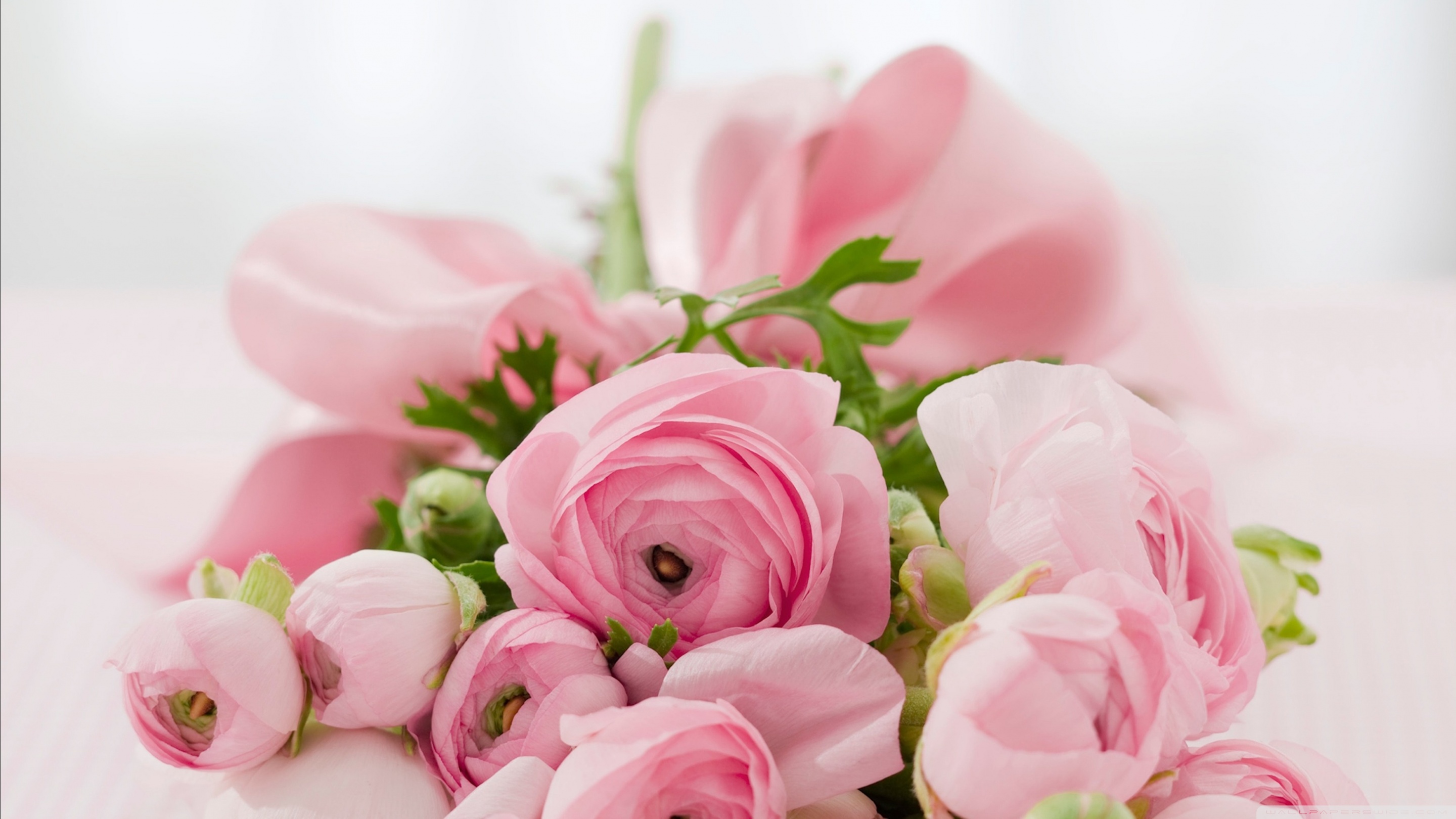 Wedding Flowers Wallpapers