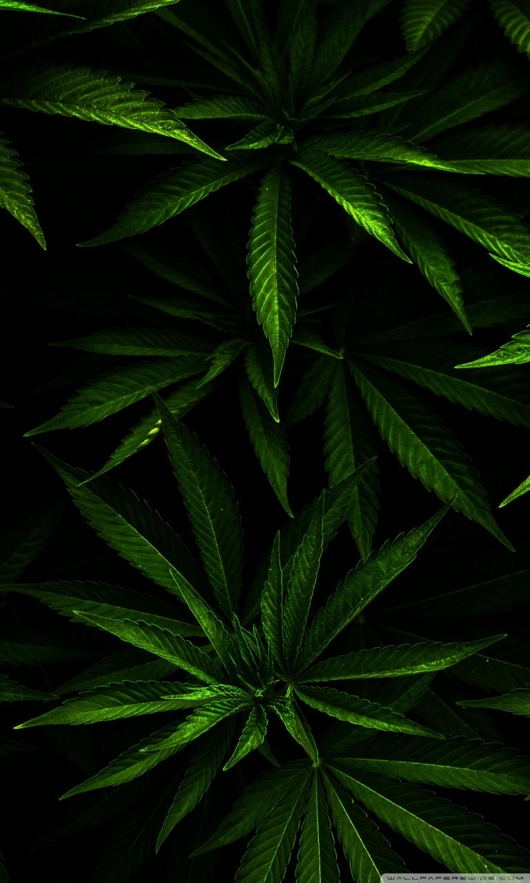 Weed 4K Wallpapers