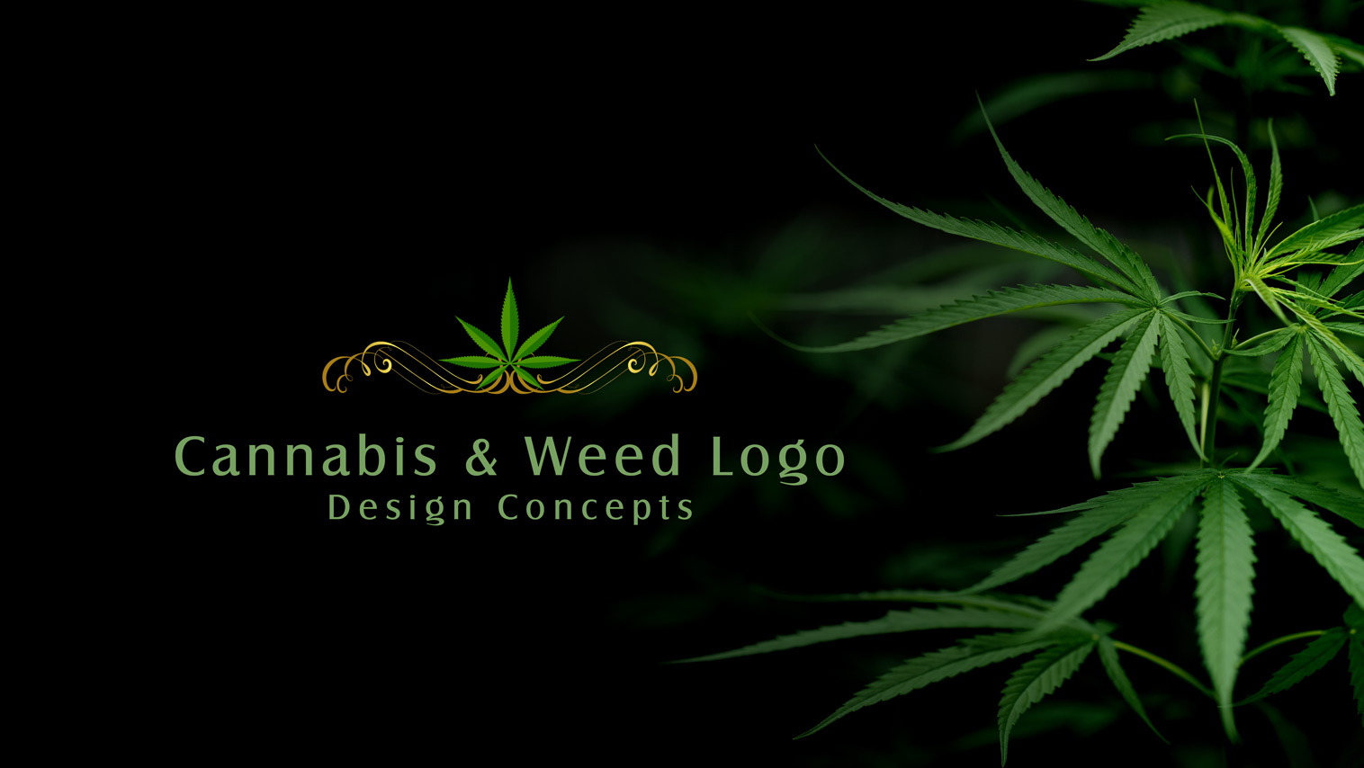 Weed Logo Wallpapers