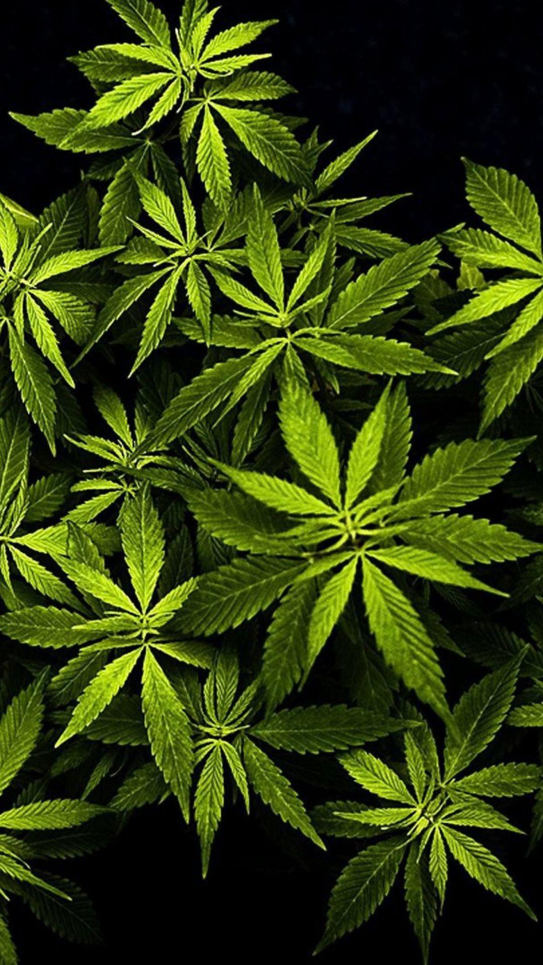 Weed Iphone Wallpapers