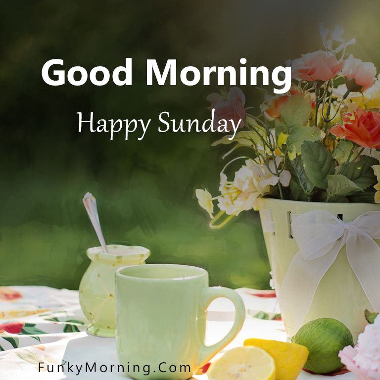 Whatsapp Good Morning Sunday Wallpapers