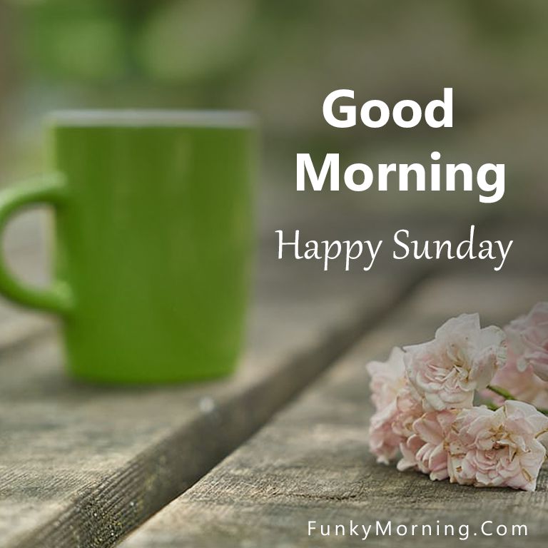 Whatsapp Good Morning Sunday Wallpapers