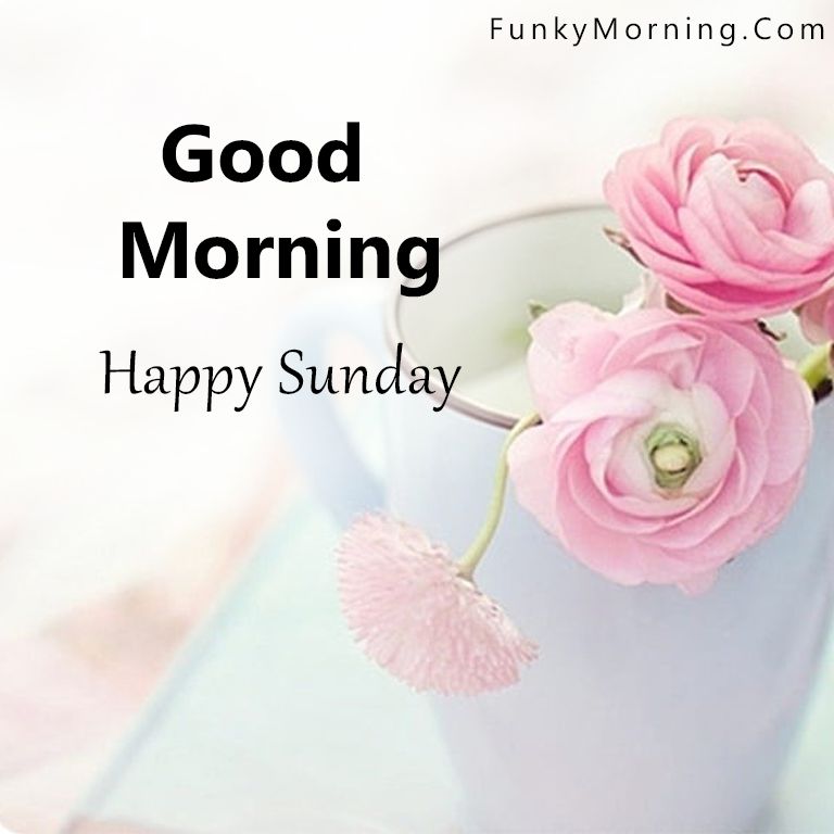 Whatsapp Good Morning Sunday Wallpapers