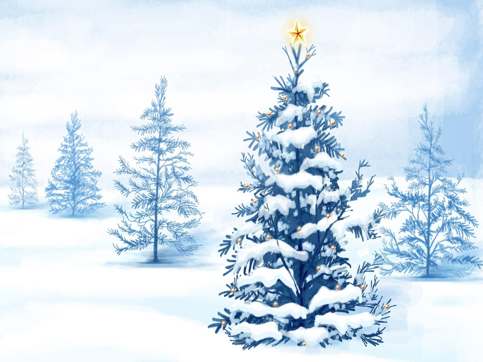 White Christmas Tree Wallpapers