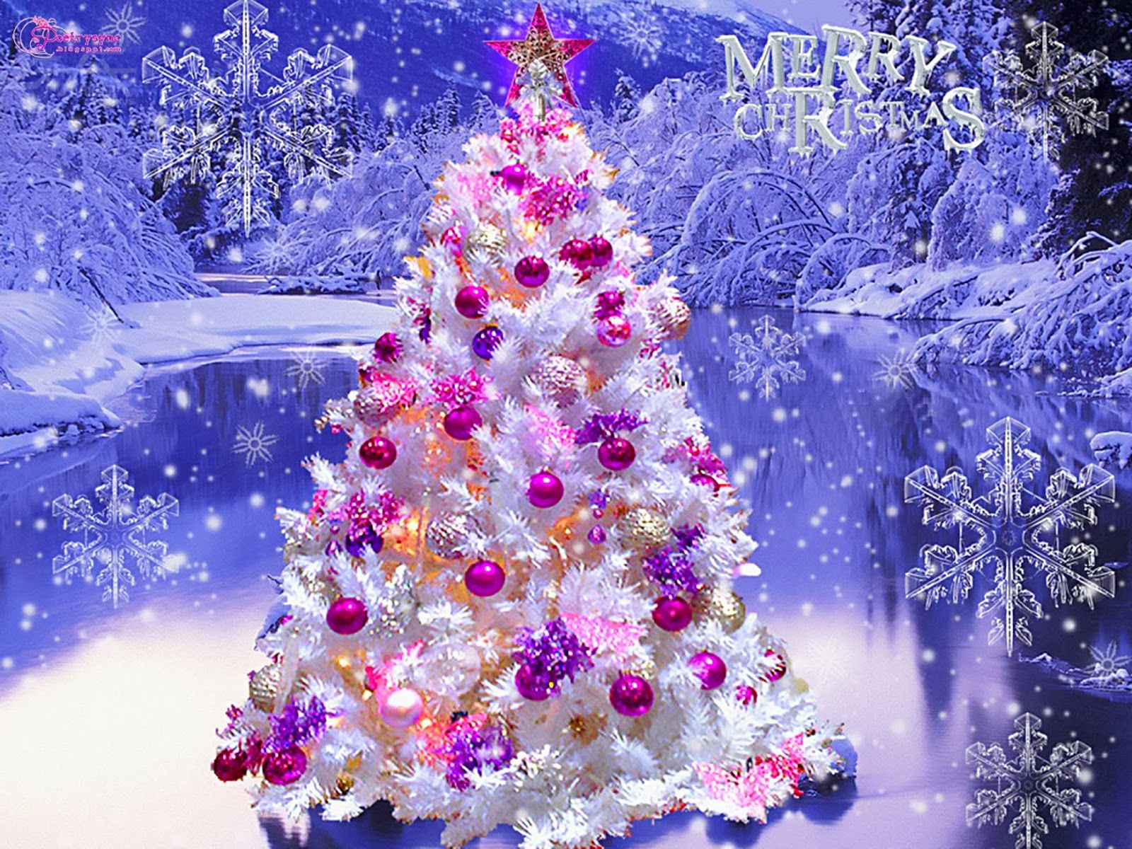 White Christmas Tree Wallpapers