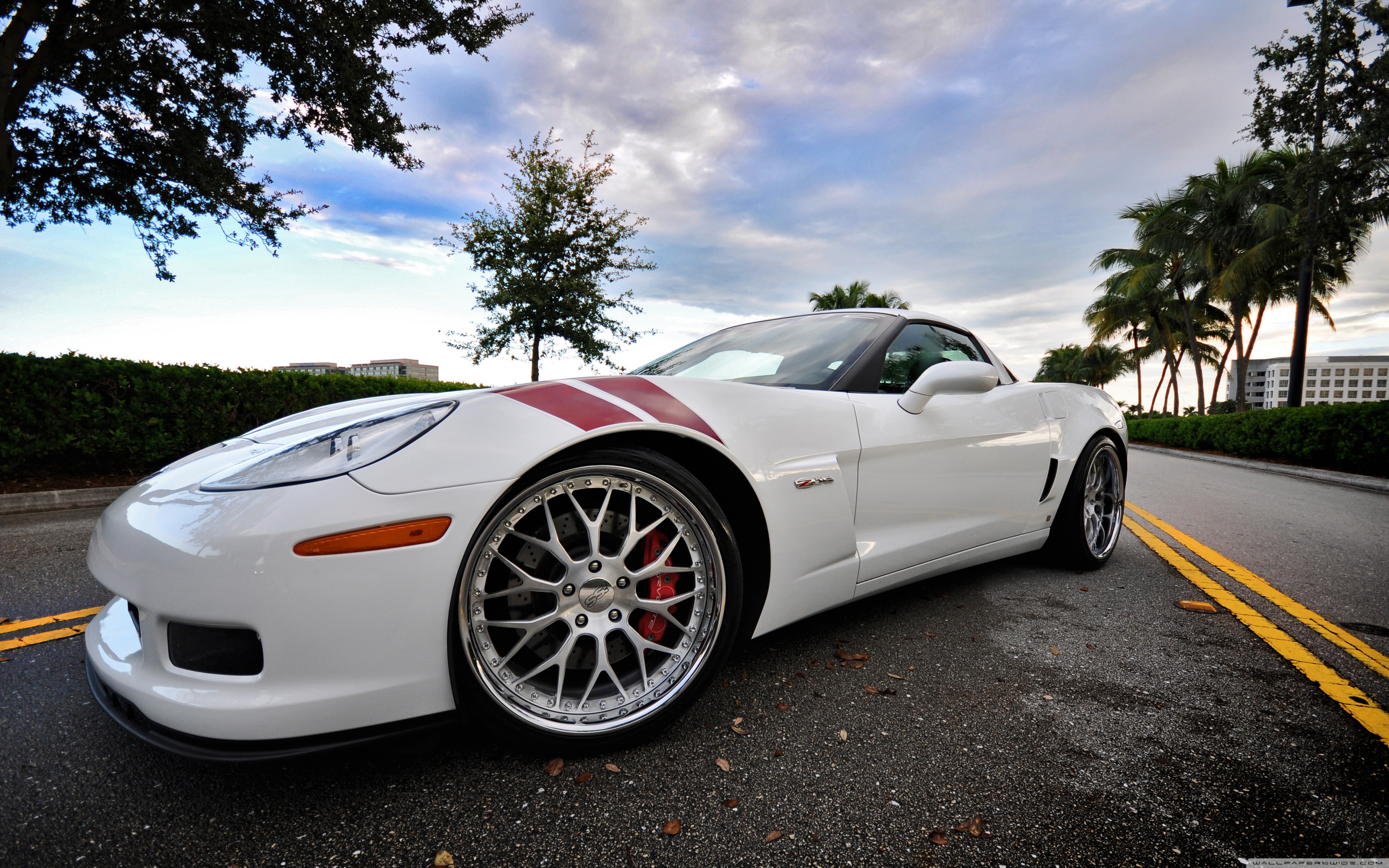 White Corvette Wallpapers