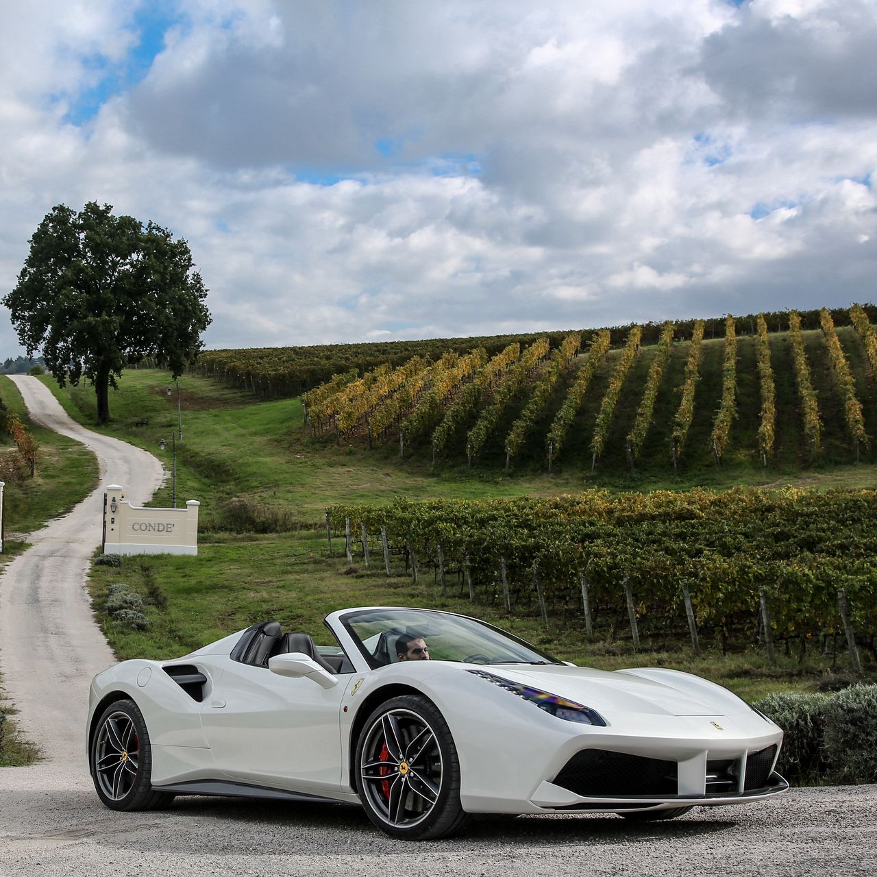 White Ferrari Wallpapers