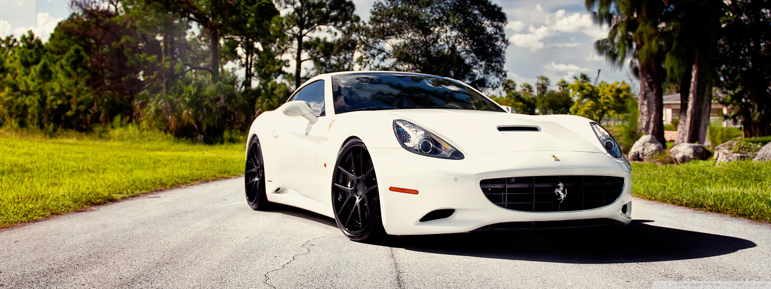 White Ferrari Wallpapers