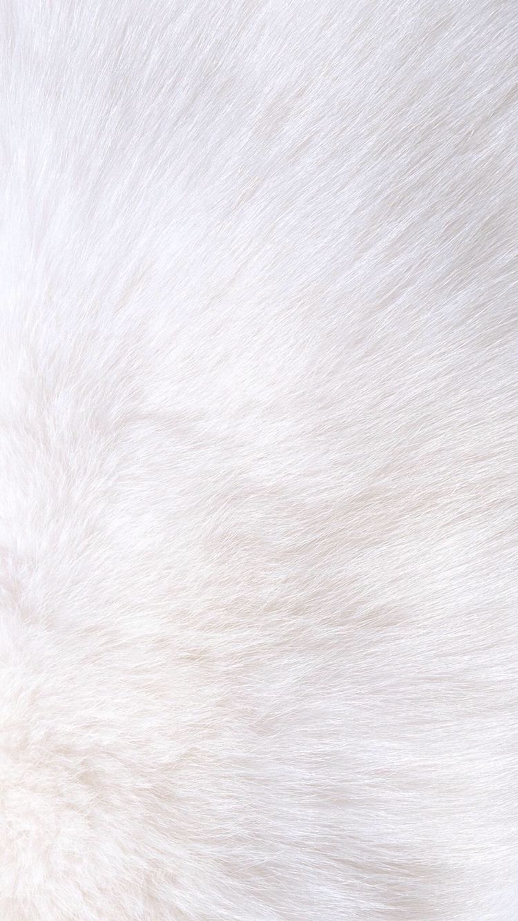 White Furry Wallpapers