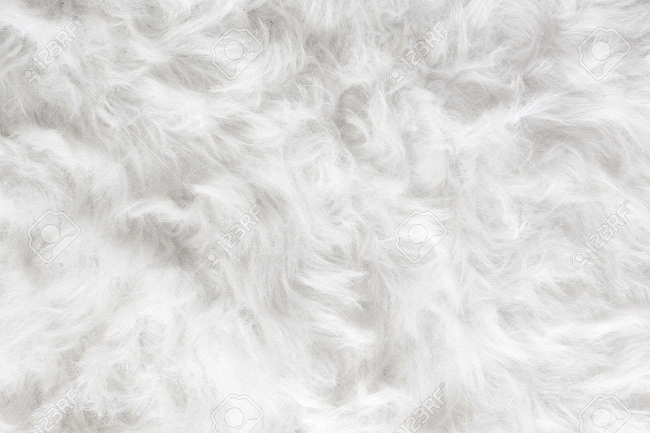 White Furry Wallpapers