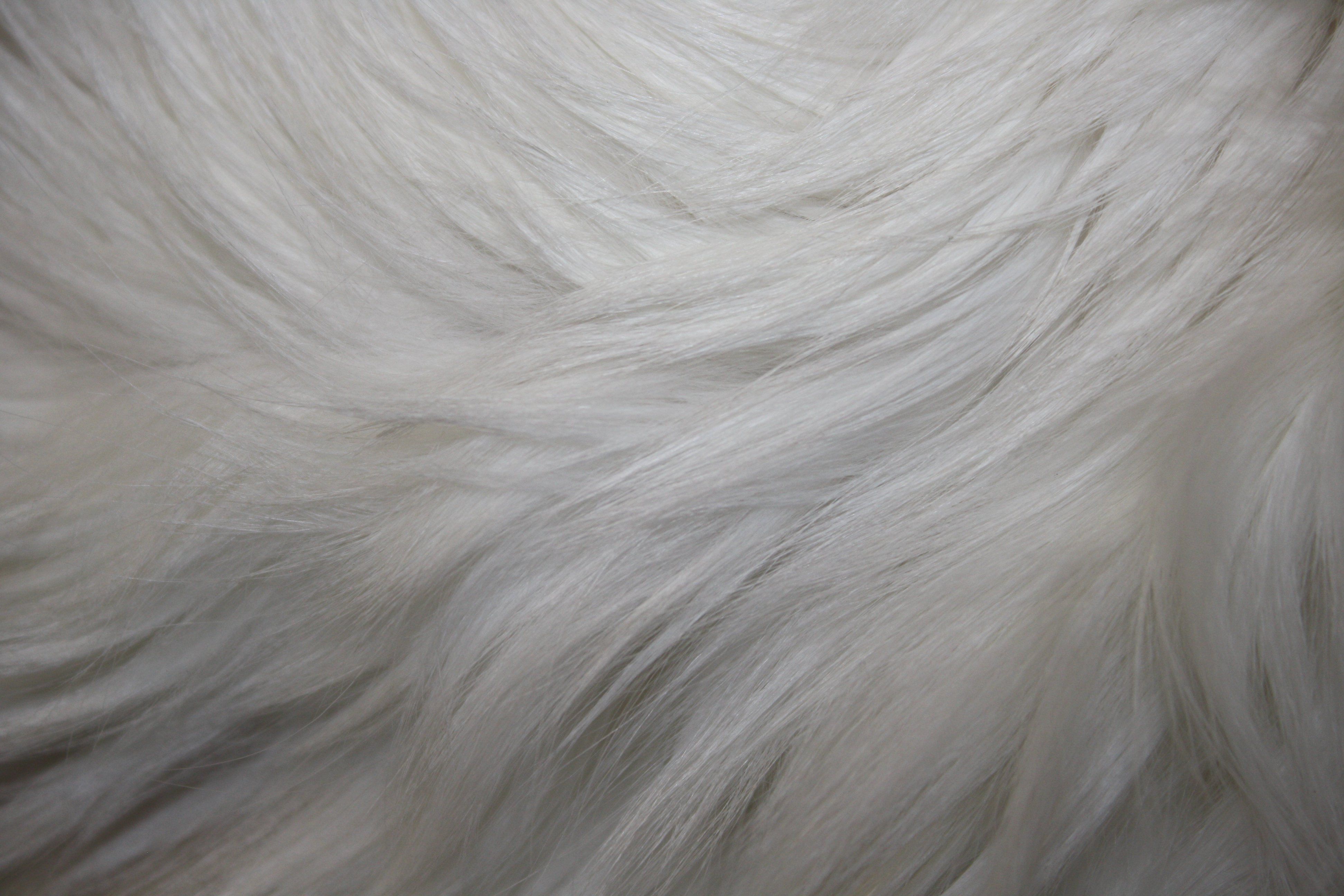 White Furry Wallpapers