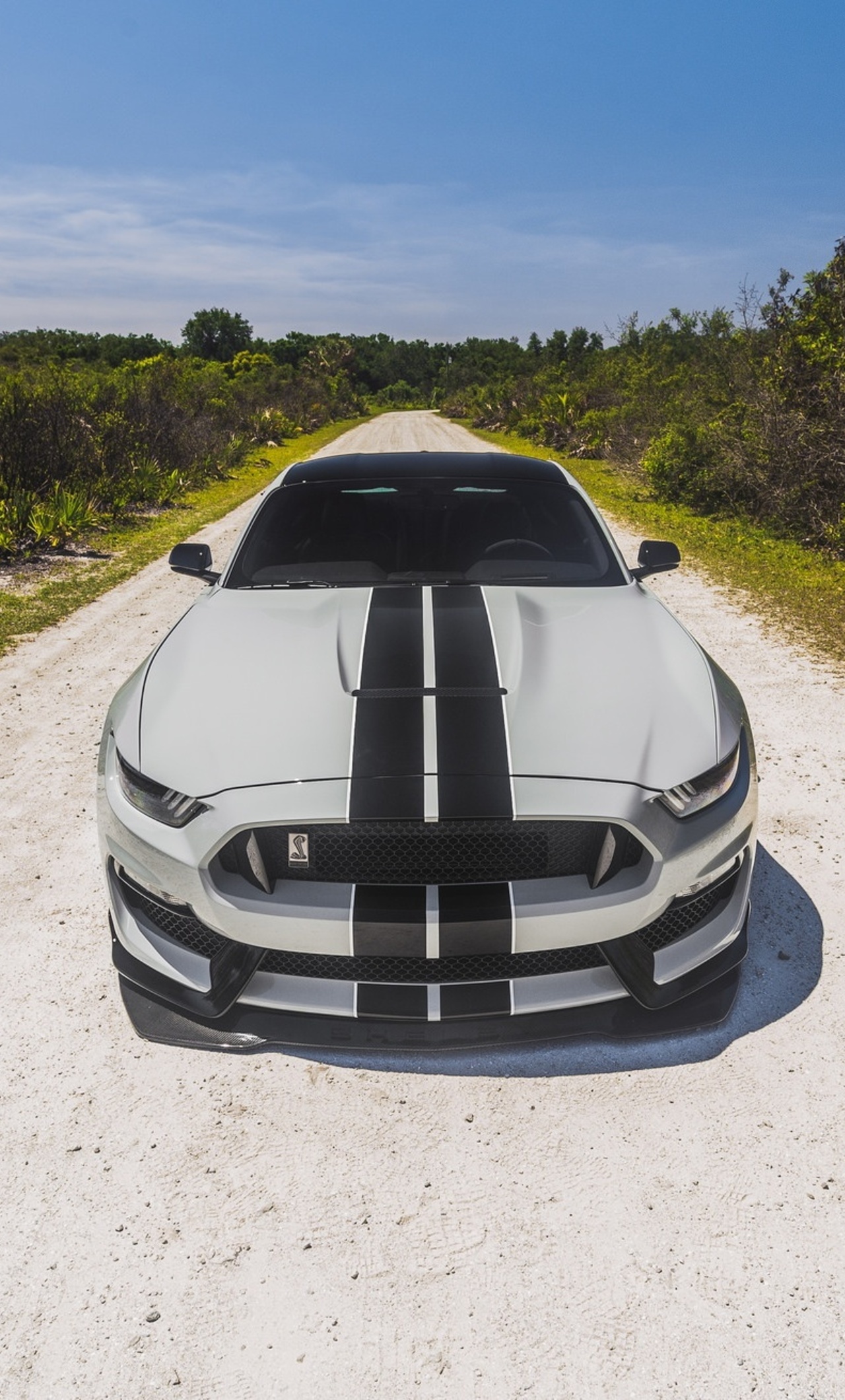 White Gt Mustang Wallpapers